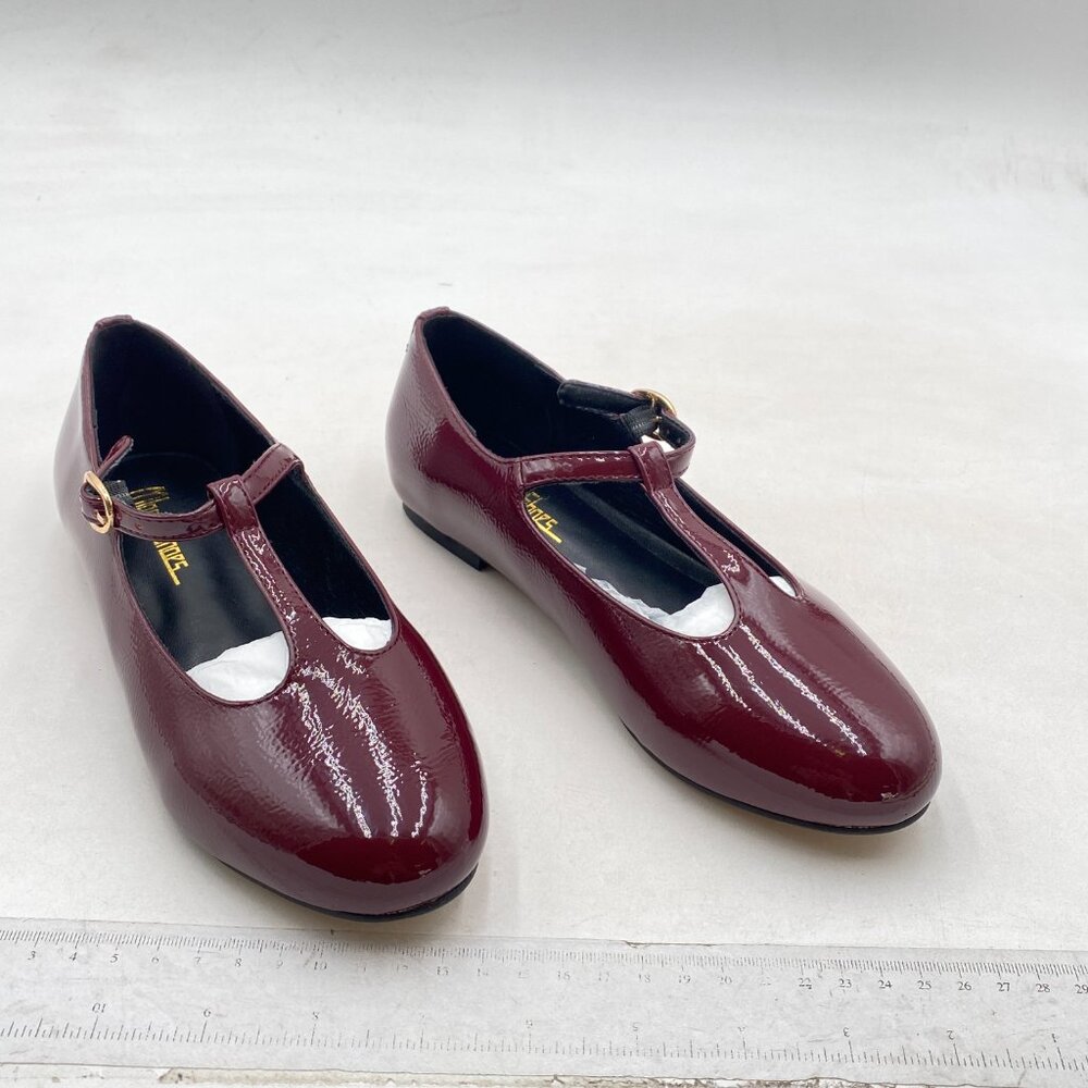 Milooey Wine Round Toe Mary Janes Shoes Chunky Low Heels T-Strap Buckled Shoes - Picture 4 of 8
